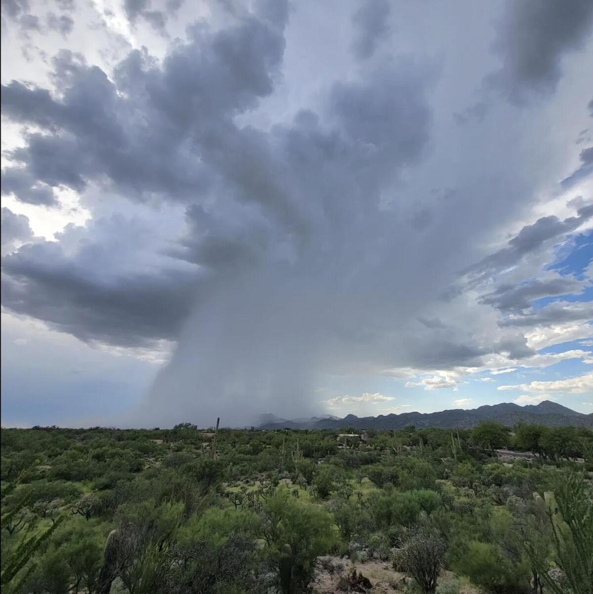 Luxury 3Bd 2Ba Home Near Tucson With Desert Views - Low Summer Rates! 오로밸리 외부 사진