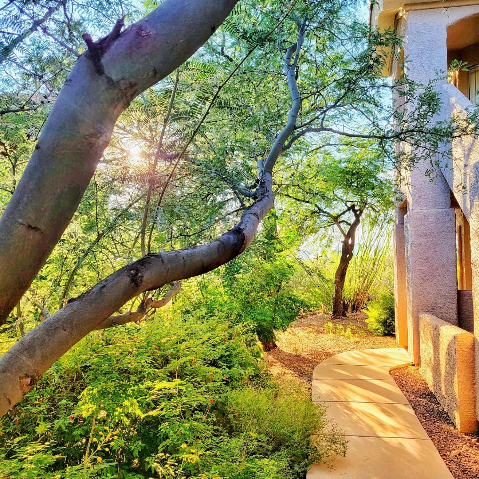 Luxury 3Bd 2Ba Home Near Tucson With Desert Views - Low Summer Rates! 오로밸리 외부 사진